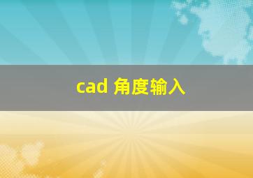 cad 角度输入